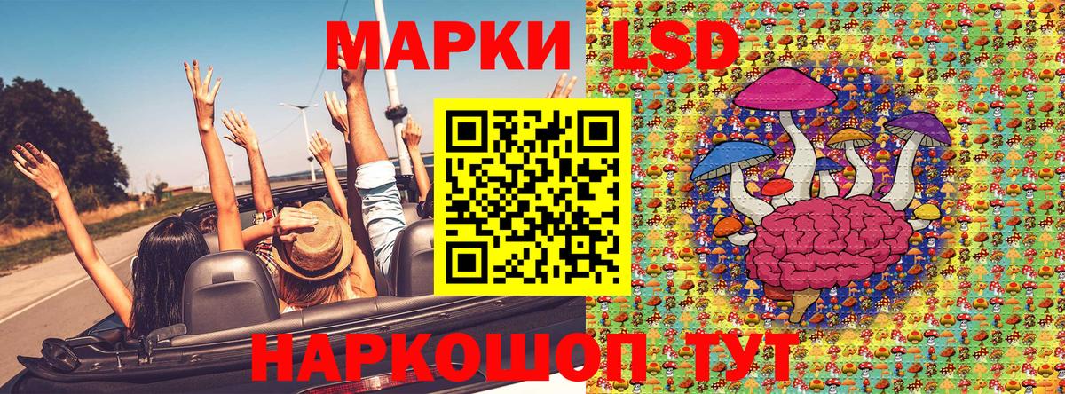 Наркотические марки 1,8мг  Наркотические марки 1,8мг  Наркотические марки  Вход с VPN  Карачаевск 