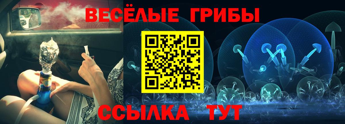Галлюциногенные грибы MAGIC MUSHROOMS  Вход с VPN  как найти   Карачаевск  Псилоцибиновые грибы мухоморы 